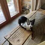 Pampihouse, Casa De Xisto Junto Ao Rio Casa de Férias *