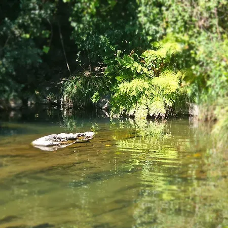 Tatil Evi Pampihouse, Casa De Xisto Junto Ao Rio Pampilhosa da Serra
