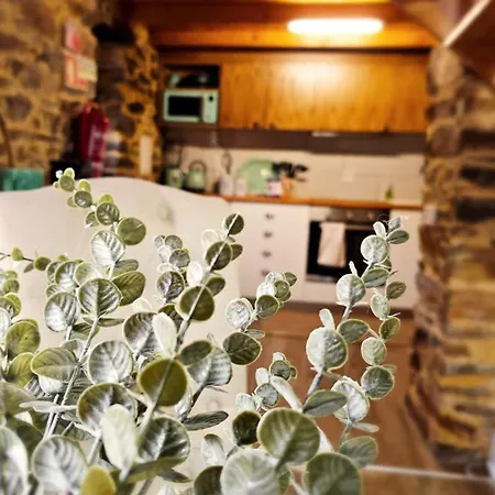 Сasa de vacaciones Pampihouse, Casa De Xisto Junto Ao Rio Pampilhosa da Serra
