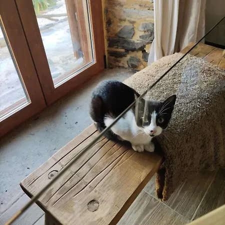 Pampihouse, Casa De Xisto Junto Ao Rio Tatil Evi *