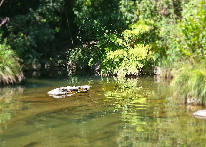 בית נופש Pampihouse, Casa De Xisto Junto Ao Rio פמפיליוסה דה סרה