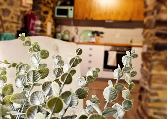 בית נופש Pampihouse, Casa De Xisto Junto Ao Rio פמפיליוסה דה סרה