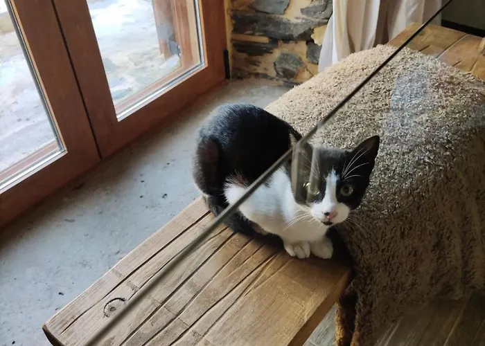 Pampihouse, Casa De Xisto Junto Ao Rio בית נופש *